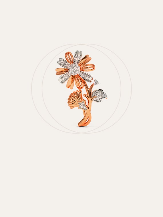 Brooches jewellery category